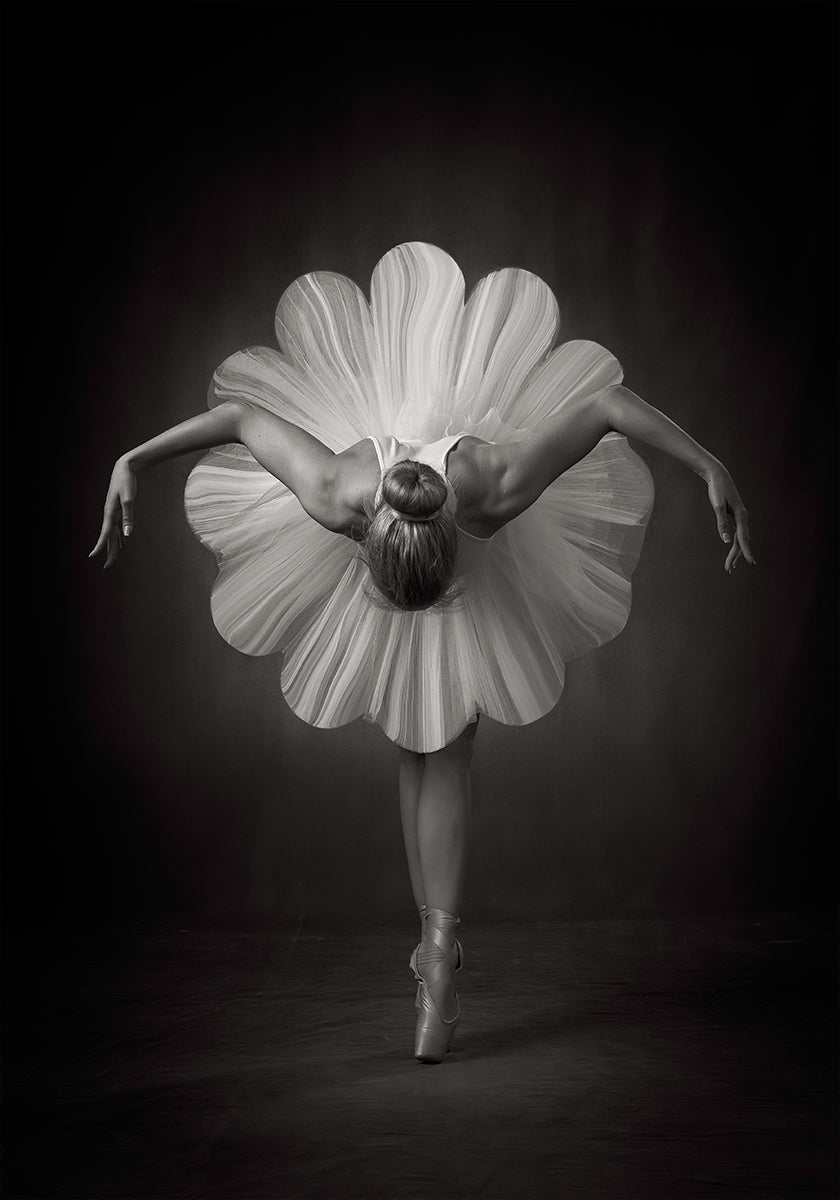 Ballet floral Póster