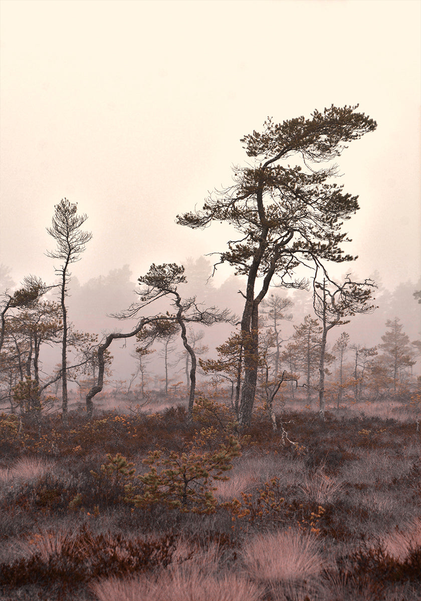 Póster Árboles esculturales