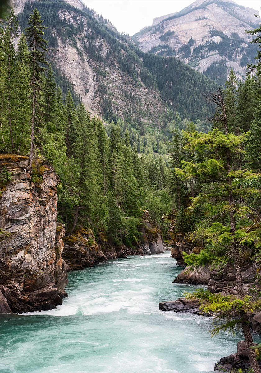 Póster Garganta del río