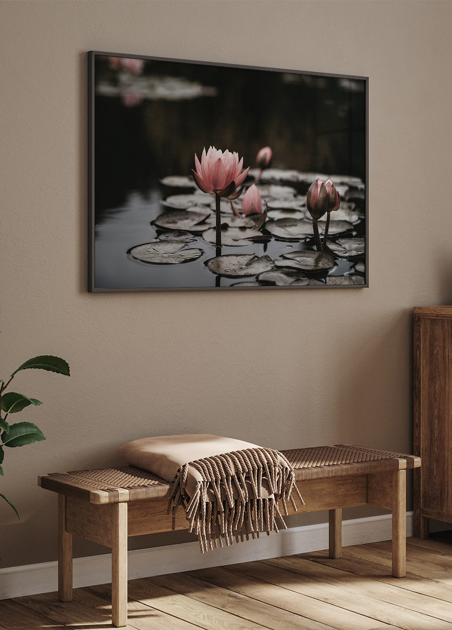 Pink Lotus Flowers Plakat - Posterbox.dk