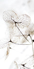 Autumn Dried Leaves №3 Plakat - Posterbox.dk