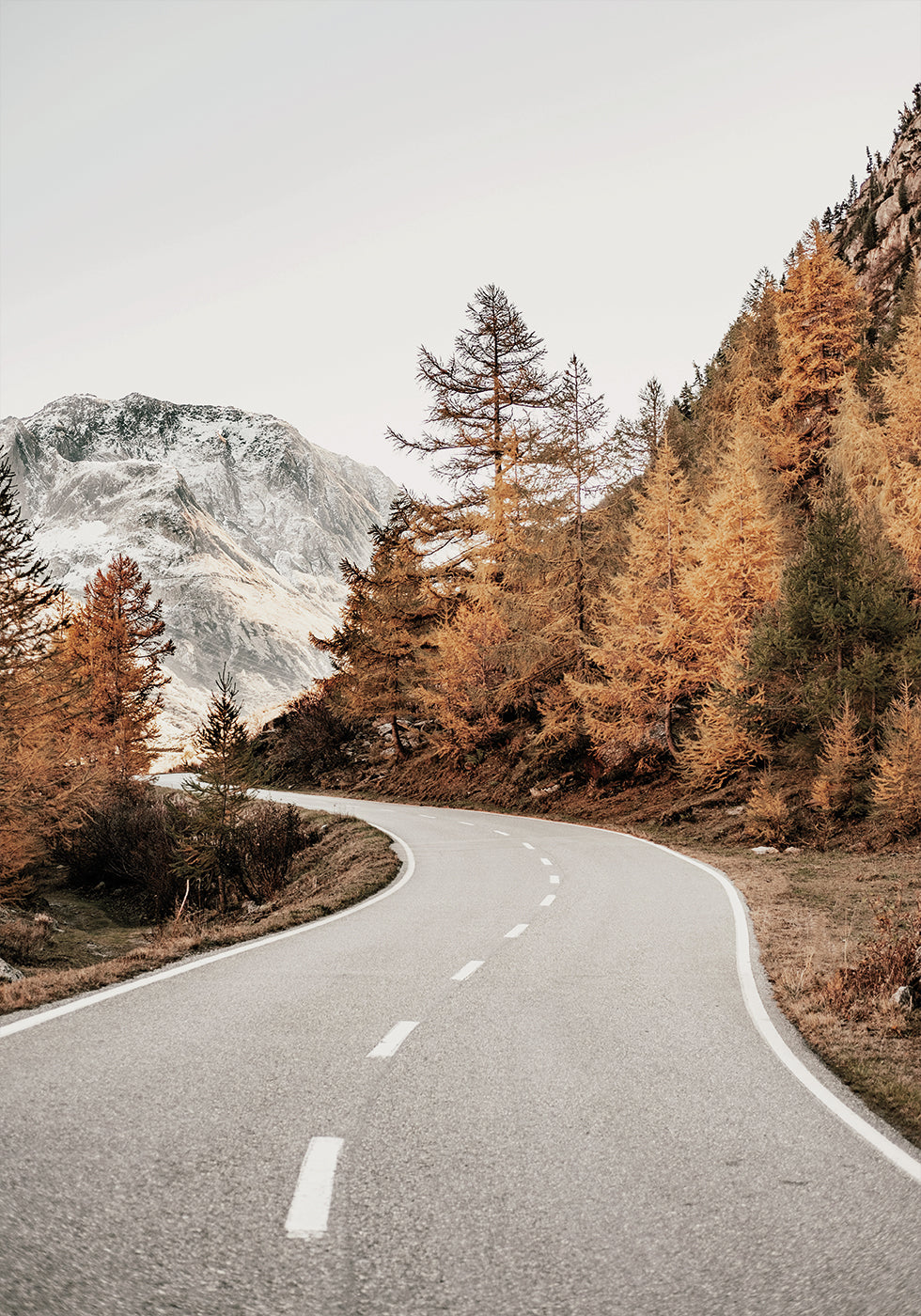 Autumn Mountain Road Plakat - Posterbox.dk
