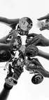 Champagne Celebration Plakat - Posterbox.dk