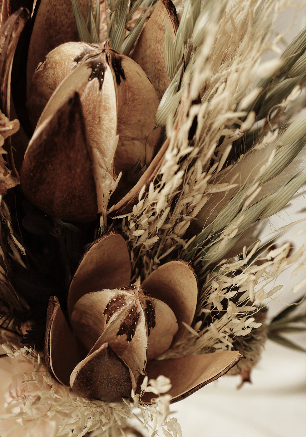 Close-Up of Dried Flowers Bouquet  Plakat - Posterbox.dk