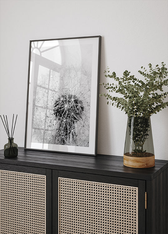 Dandelion Flower with Dew Plakat - Posterbox.dk