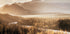 Golden Morning in the Valley Plakat - Posterbox.dk
