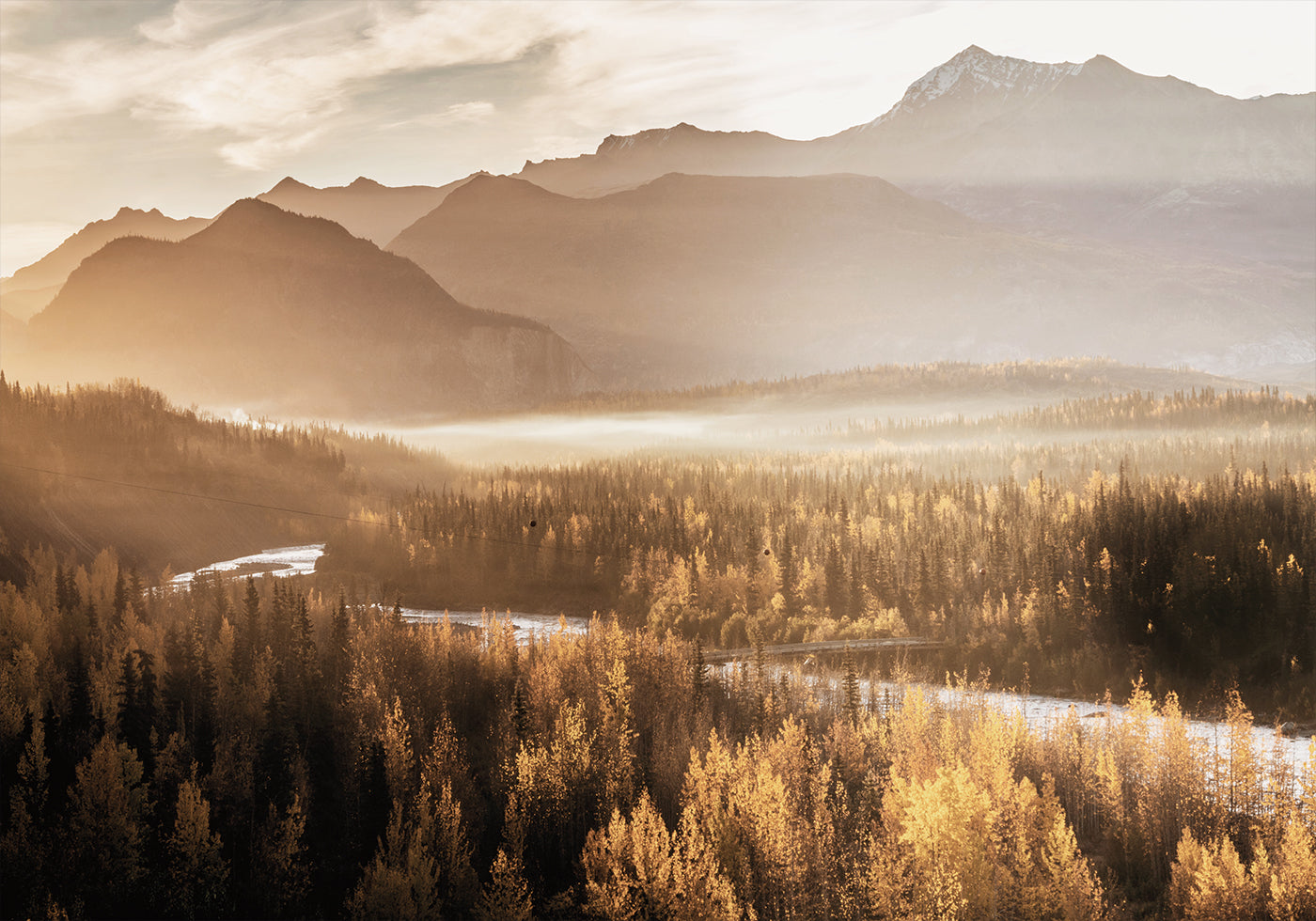 Golden Morning in the Valley Plakat - Posterbox.dk