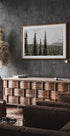 Majestic Fir Trees in the Mountains Plakat - Posterbox.dk