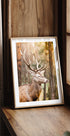Majestic Red Deer Stag Plakat - Posterbox.dk