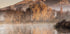 Misty Autumn Reflection Plakat - Posterbox.dk
