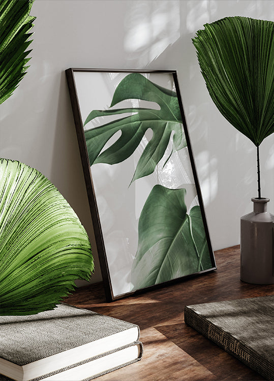 Monstera Leaves Plakat - Posterbox.dk
