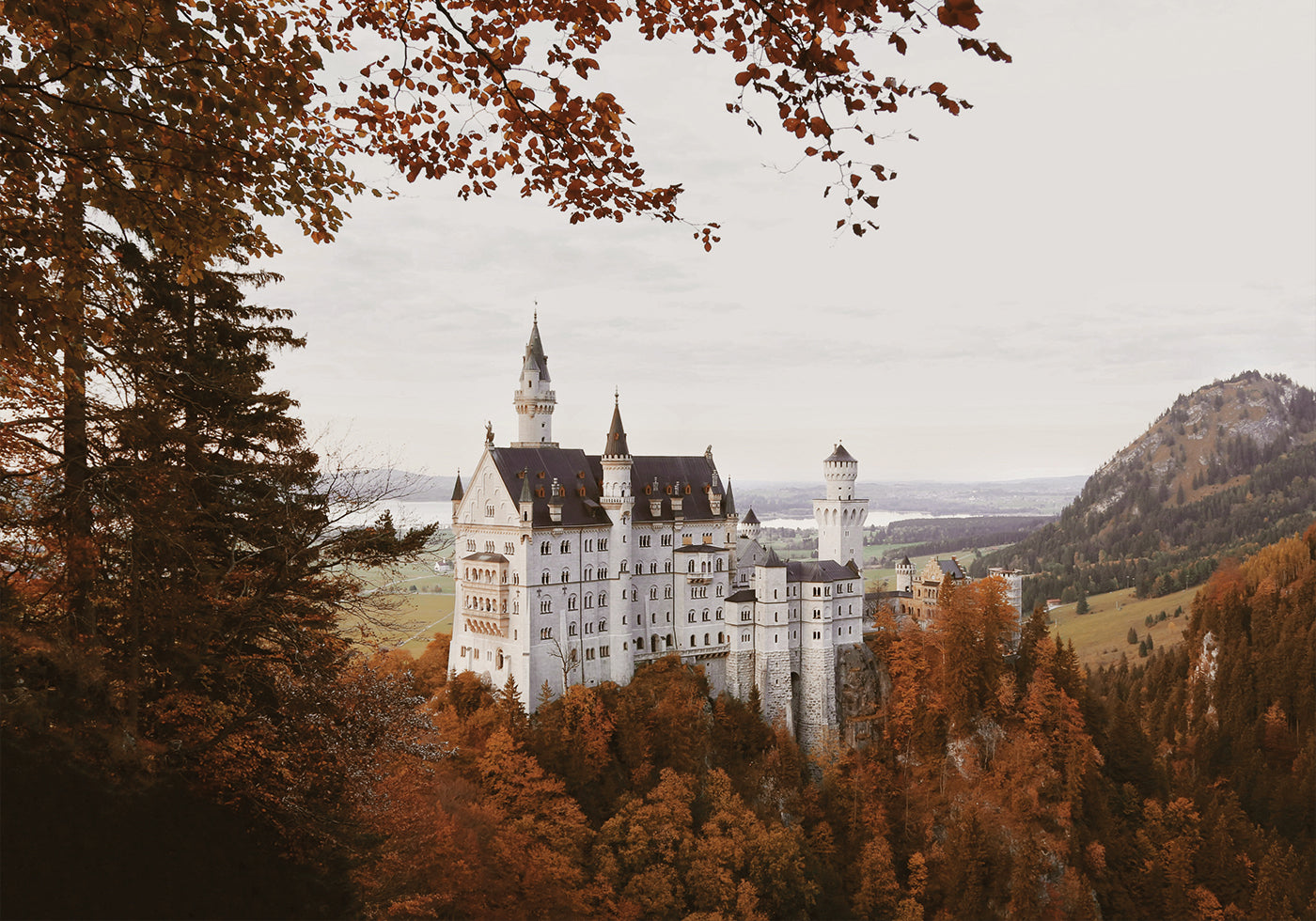 Neuschwanstein Castle in Autumn Plakat - Posterbox.dk