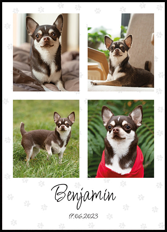 Collage de fotos de mascotas personal - Posterbox