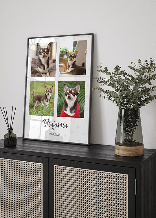 Collage de fotos de mascotas personal - Posterbox