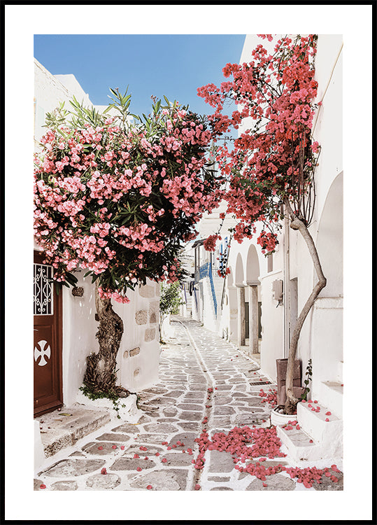 Pink Flower Trees in a Picturesque Alley Plakat - Posterbox.dk