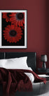 Red Dimorphotheca Flowers with Water Droplets Plakat - Posterbox.dk
