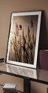 Reeds at Sunset Plakat - Posterbox.dk