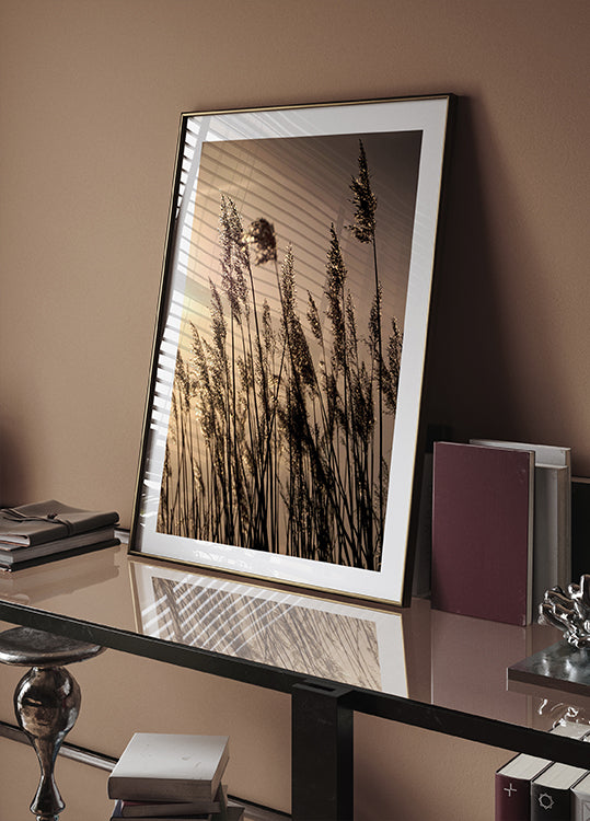 Reeds at Sunset Plakat - Posterbox.dk