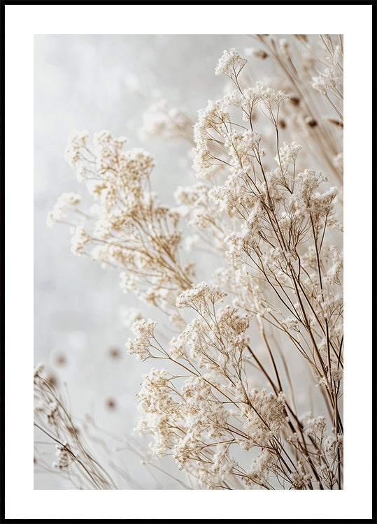 Soft Whispers of Dried Wildflowers in Light Tones Plakat - Posterbox.dk