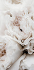 White Blossoming Roses Plakat - Posterbox.dk