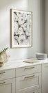 White Pumpkins Harvest Plakat - Posterbox.dk