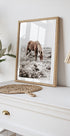 Wild Horse in Serene Landscape Nature Plakat - Posterbox.dk