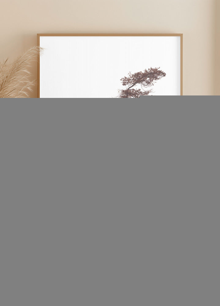 Pinos esculturales Póster