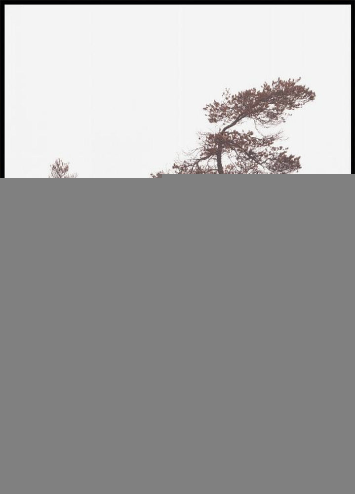 Pinos esculturales Póster