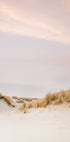 Ameland Dunes 3 Plakat - Posterbox