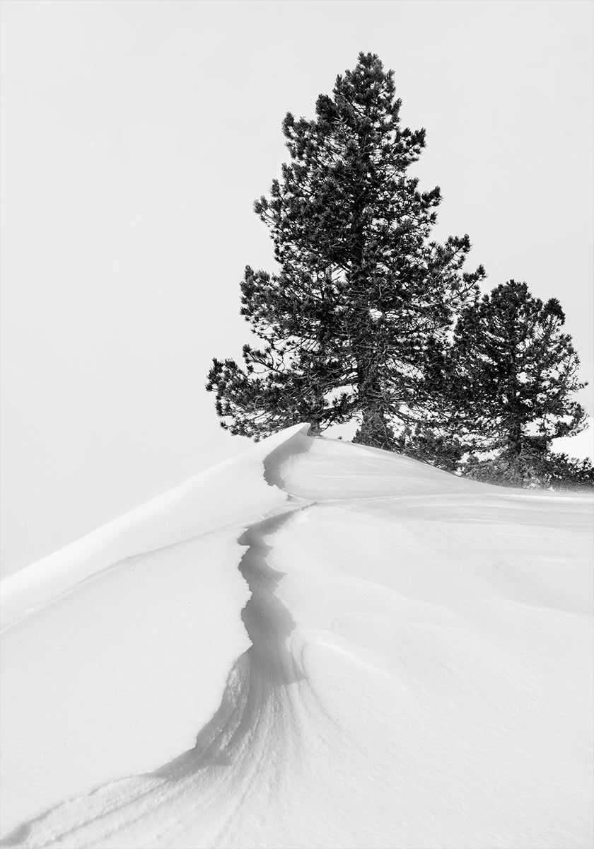 About the snow and forms Plakat - Posterbox