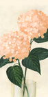 Coral hydrangeas in a vase - Posterbox