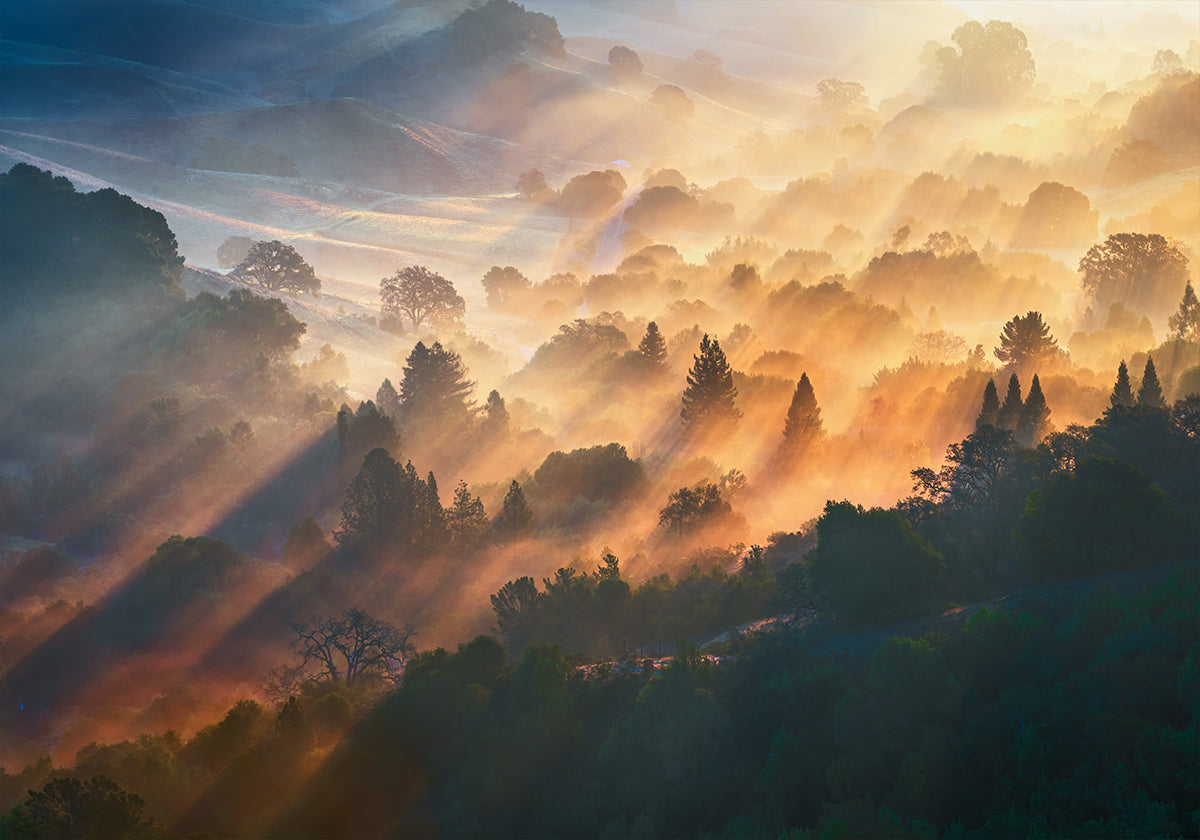 Morning Light Plakat - Posterbox