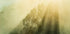 Foggy Woods III - Posterbox
