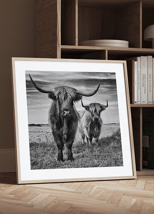 Highlands Plakat - Posterbox