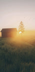 Sunset In The Field Plakat - Posterbox.dk