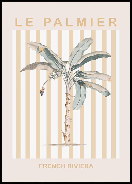 Riviera Plam Tree Plakat - Posterbox