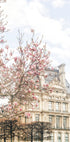 Parisspring Ratio2x3 (NEW) - Posterbox