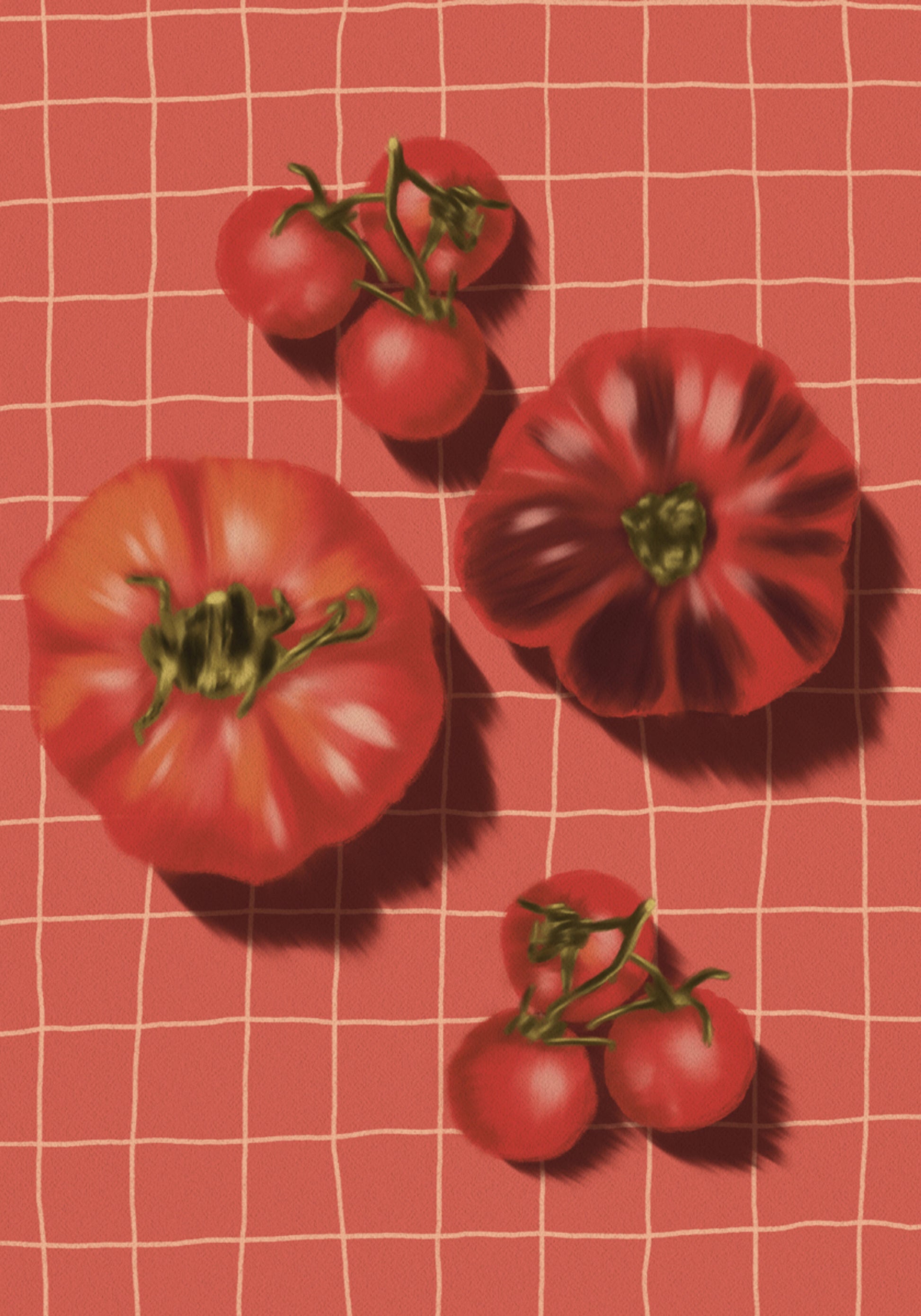 Tomates Rojos Rústicos