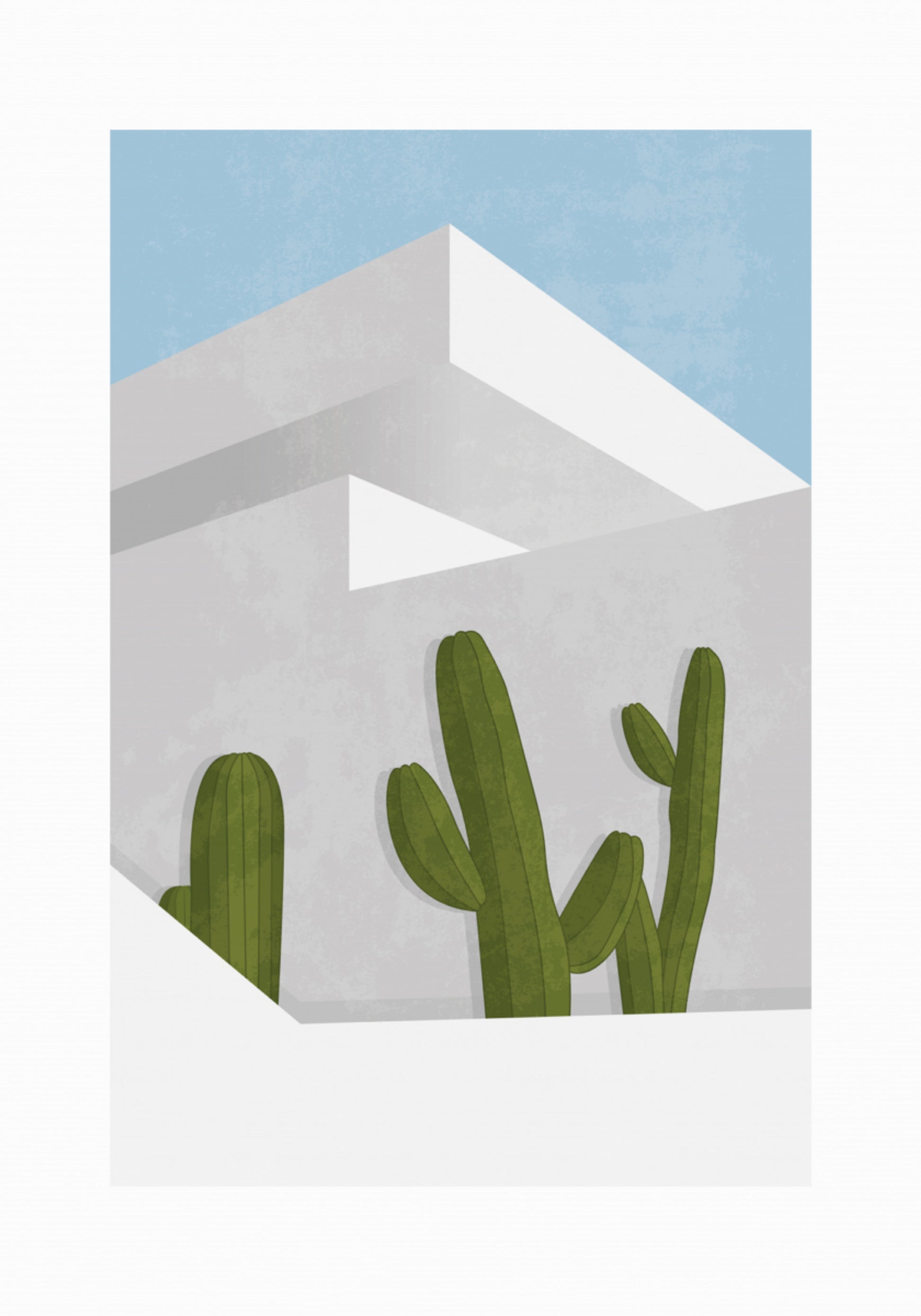 Cactus minimalistas del desierto