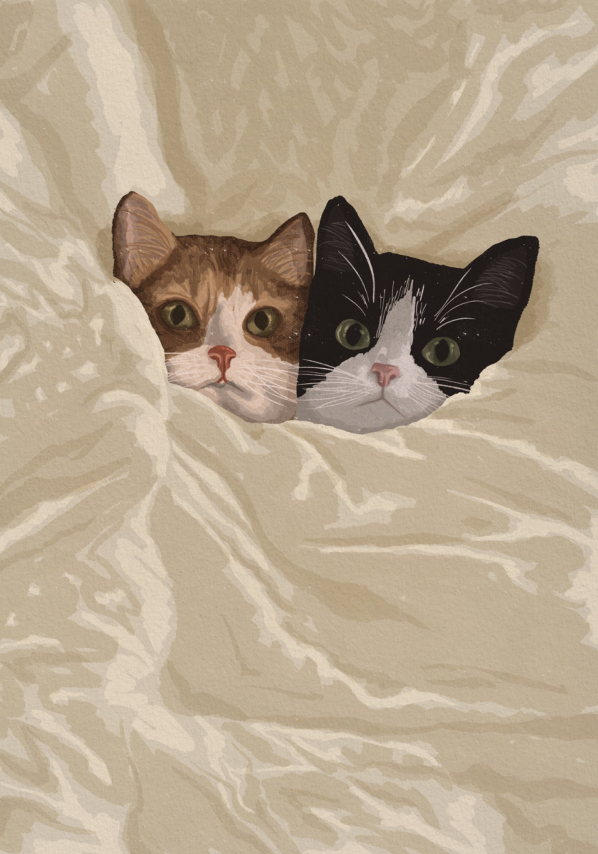 Gatos acogedores asomándose