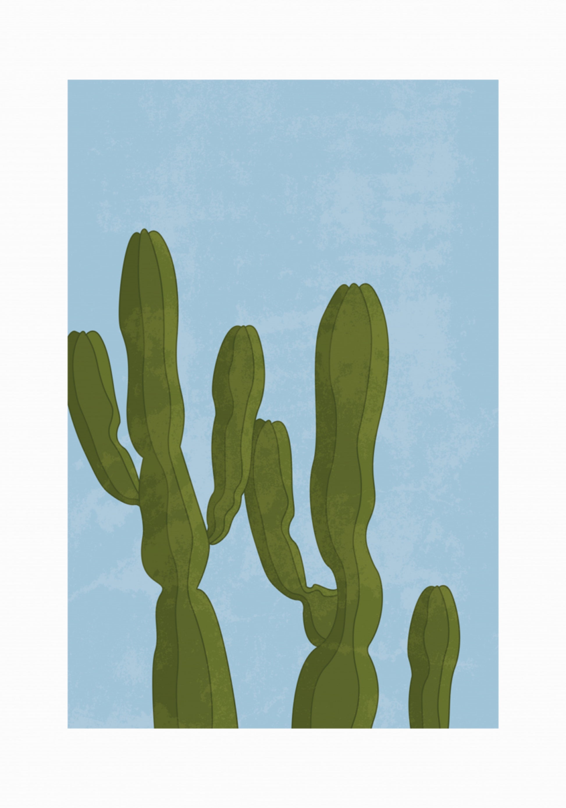 Imponentes cactus del desierto
