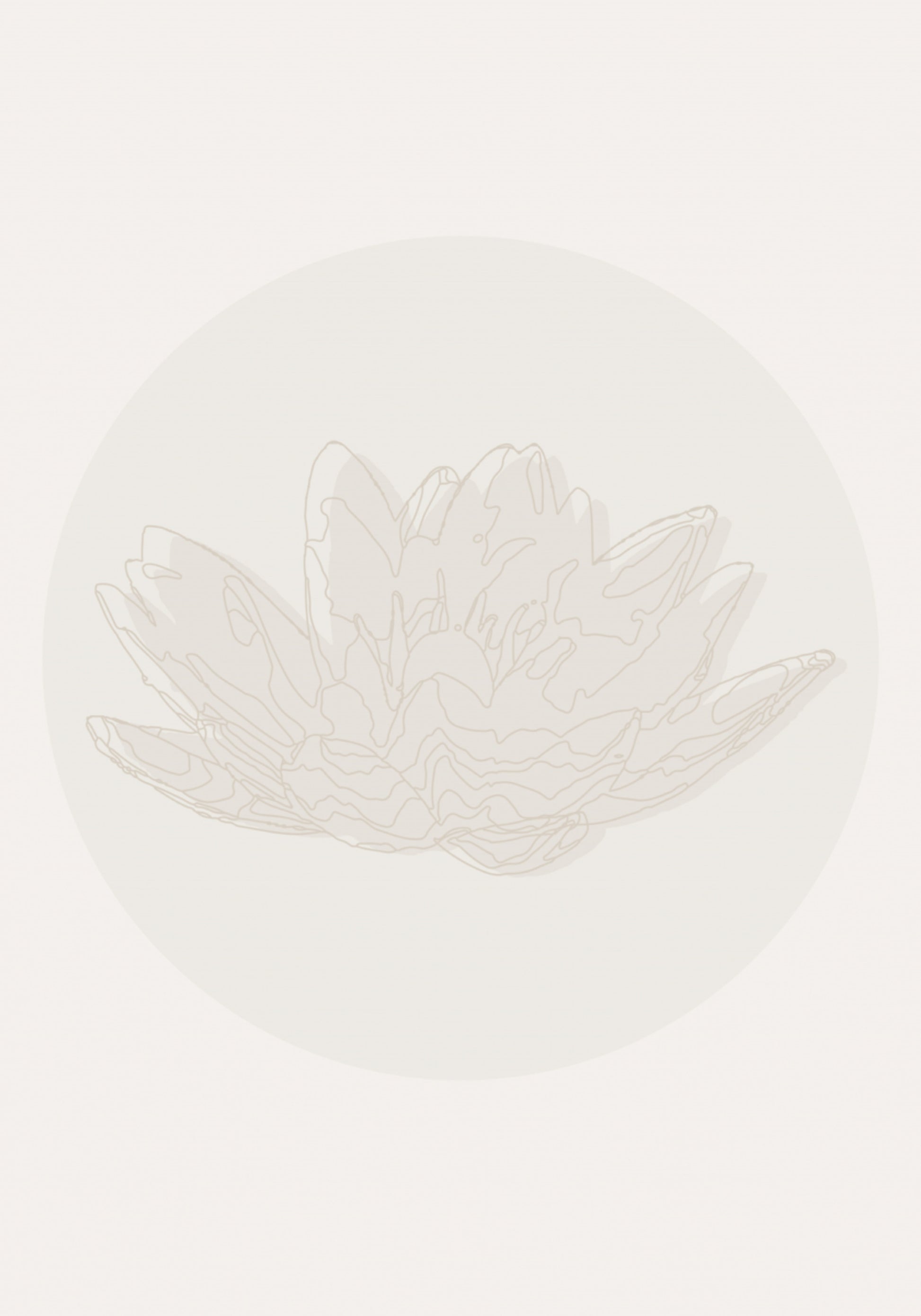 Flor de loto serena