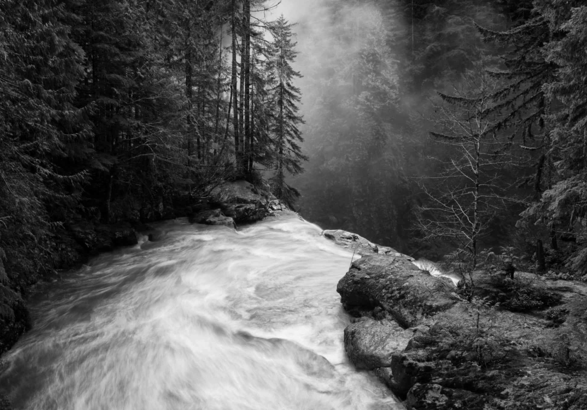 Flujo del río brumoso
