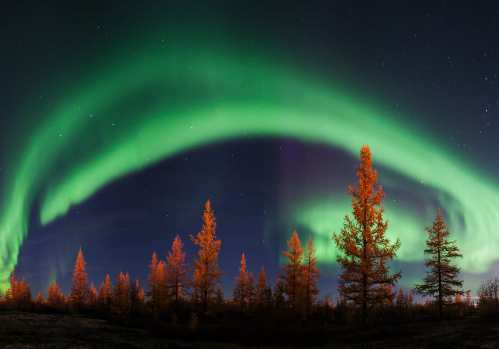 Vibrante cielo nocturno de aurora