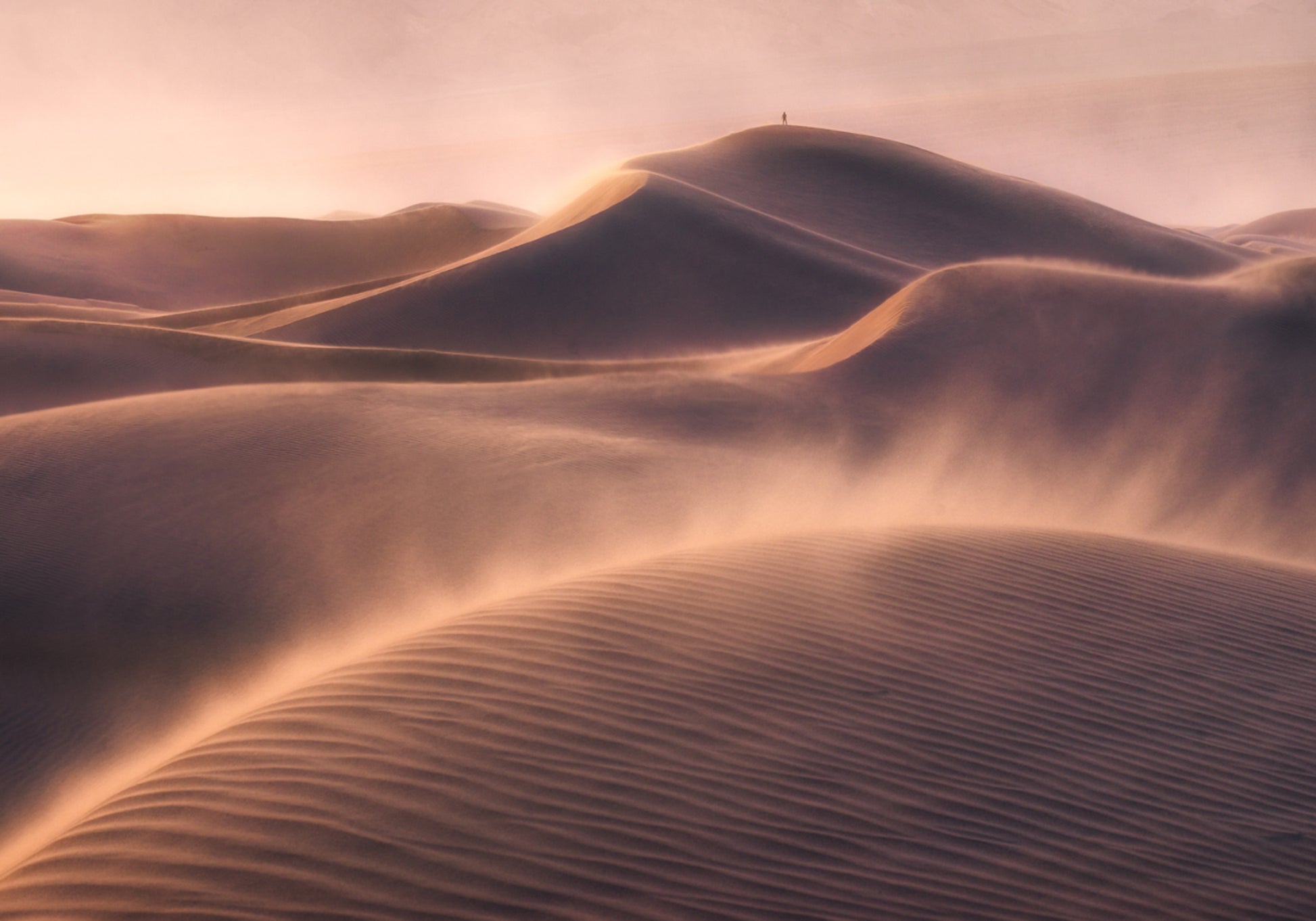 Soledad del desierto dorado