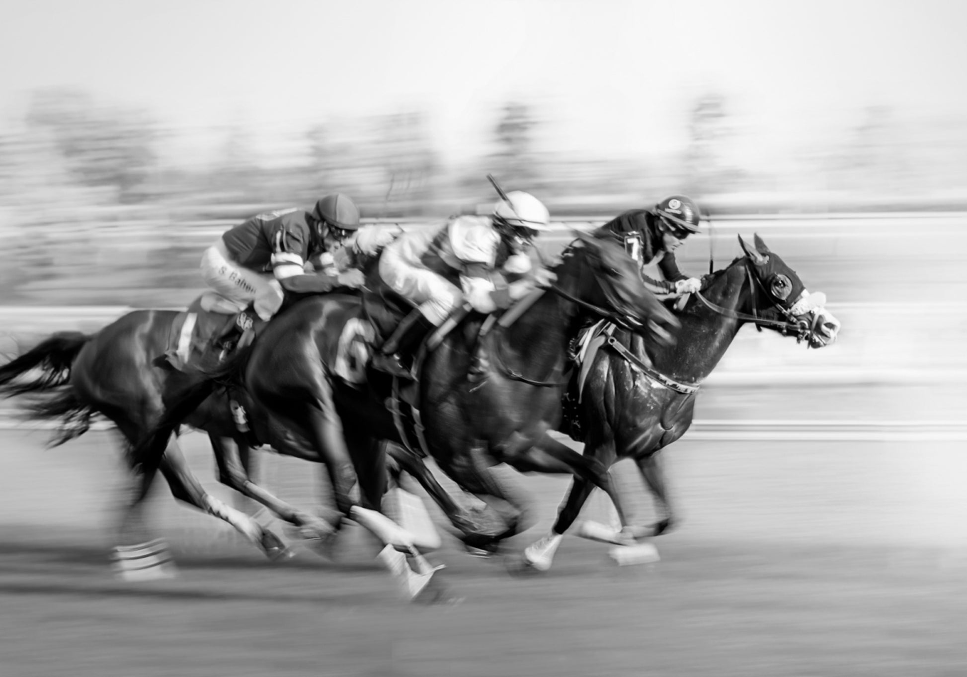 Caballos de carreras al galope