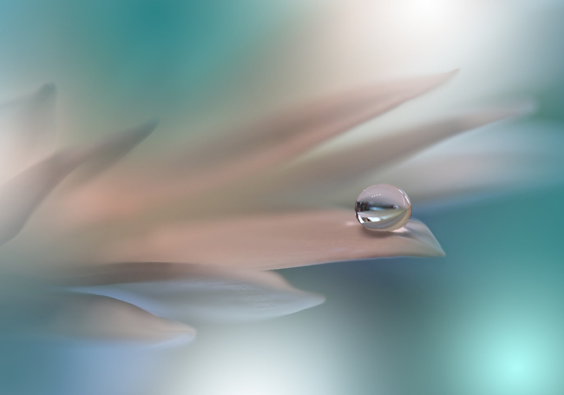 Gota de agua delicada
