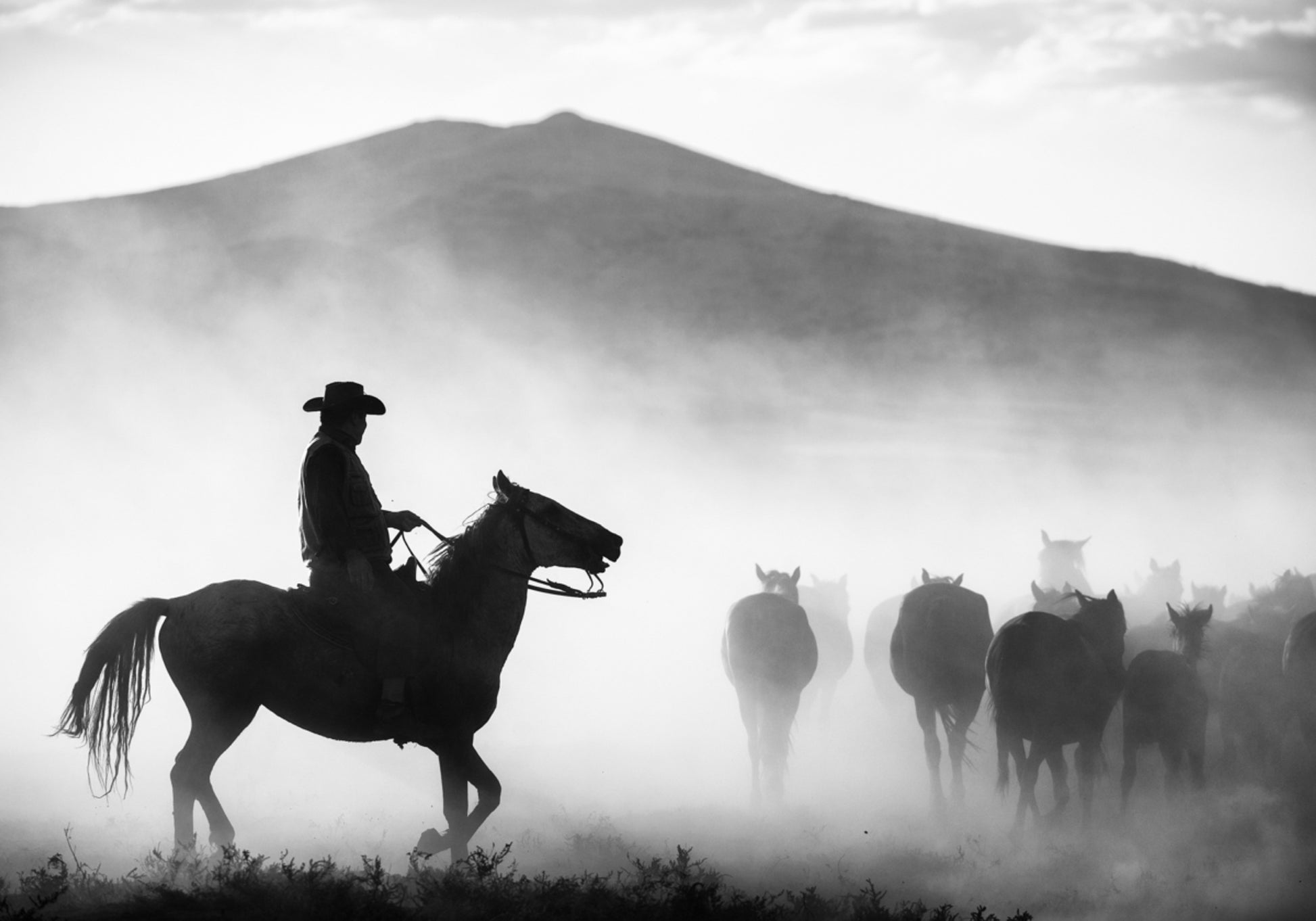 Vaquero pastoreando caballos