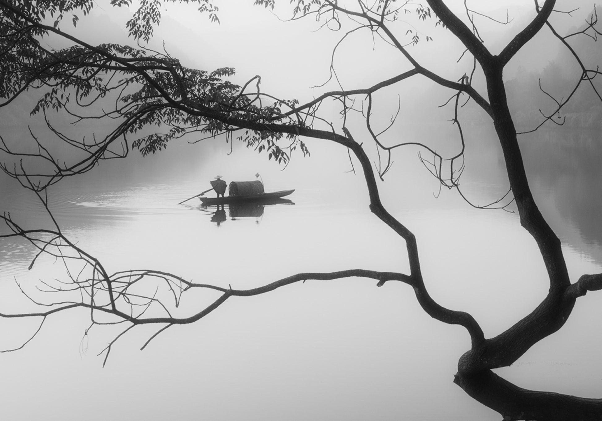 Niebla del barquero solitario