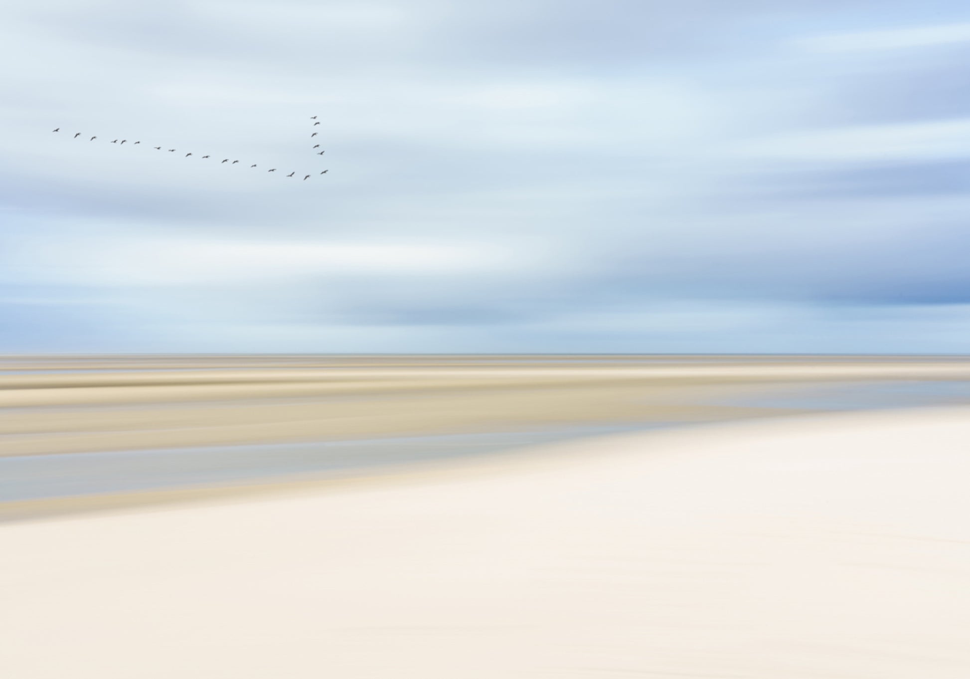 Aves sobre la costa serena